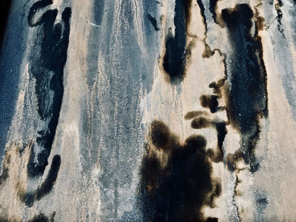 Dark mold and mildew spots spreading across a painted wall